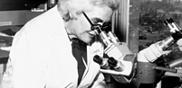 A female doctor looks into a microscope