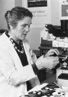 Janet D. Rowley taking at work in the laboratory, 1998